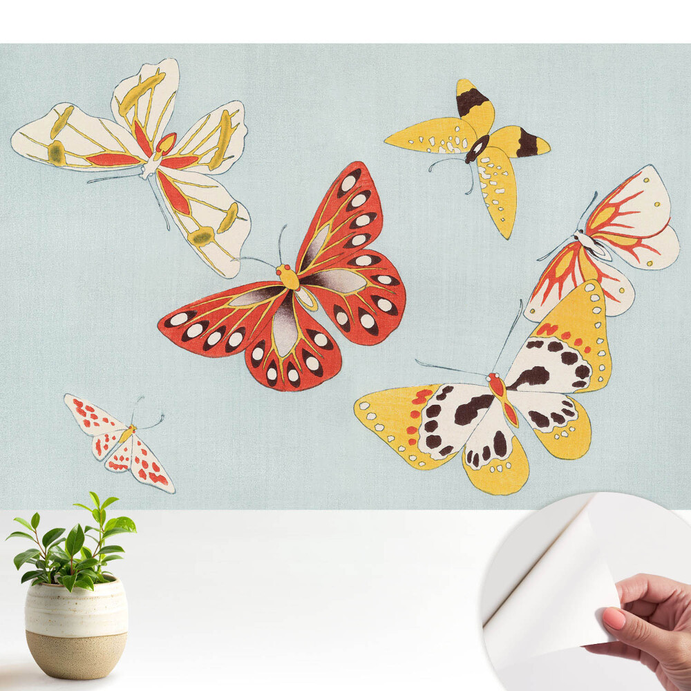 Tapeta Farebné motýle na svetlom pozadí