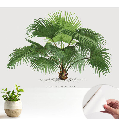 Tapeta na stenu samolepiaca s motívom klasickej elegancie palmy