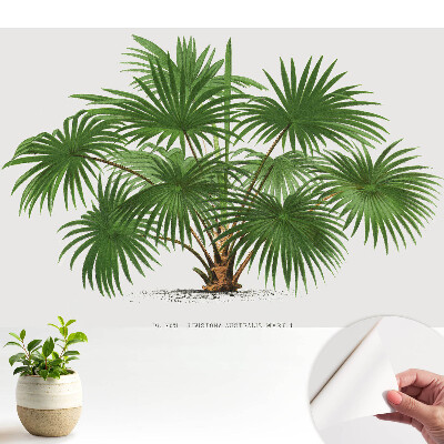 Luxusná tapeta Symetrické zloženie zelenej palmy