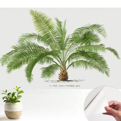 Tapeta s ilustráciou vrúcnej palmy