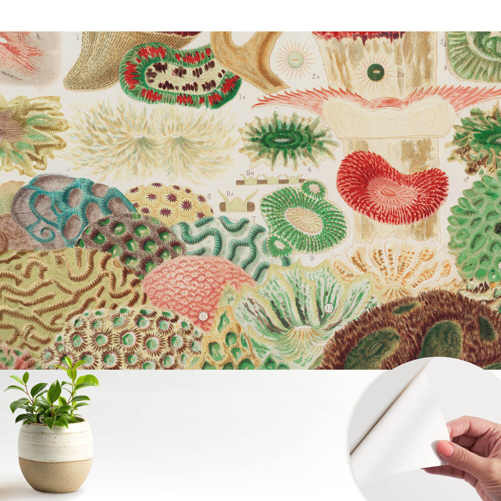 Tapety na stenu samolepiace Abstraktné organické motívy a štruktúry