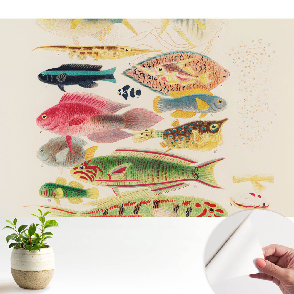 Luxusná tapeta Rôzne druhy rýb v klasickom štýle