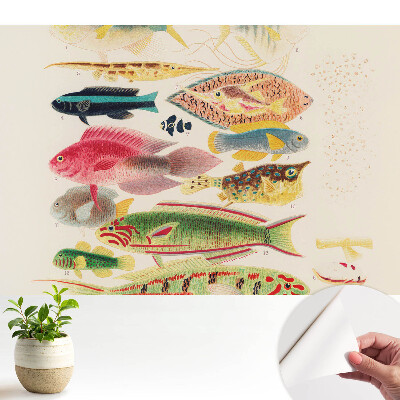 Luxusná tapeta s motívom rôznych druhov rýb v klasickom štýle