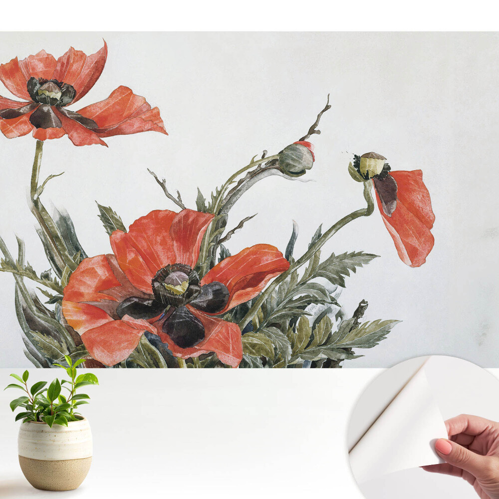 Luxusná tapeta Jemné vlčie maky na svetlom pozadí