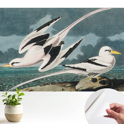 Tapeta do obývačky s motívom klasického obrazu vtákov na brehu