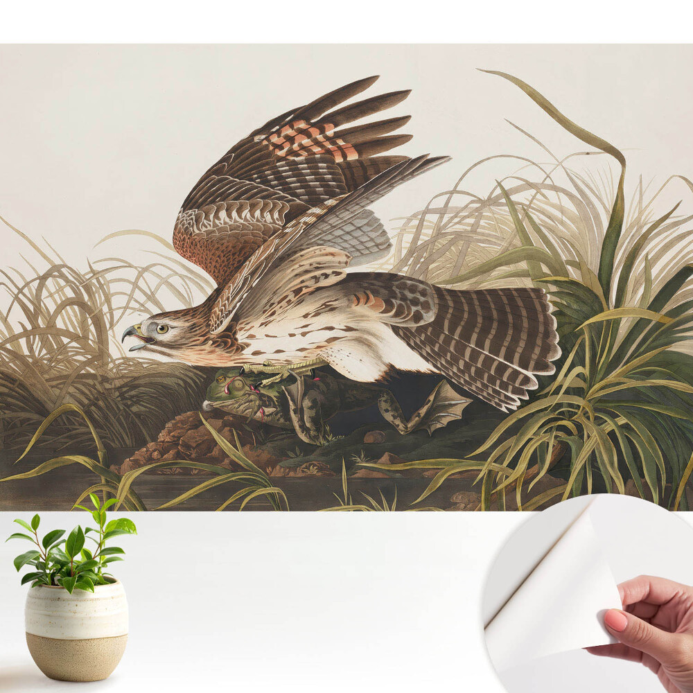 Tapety na stenu samolepiace Vták za letu medzi trávou