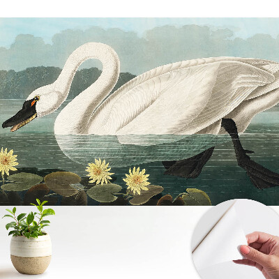 Tapeta so štýlovým motívom labute a lekien v klasickom dizajne