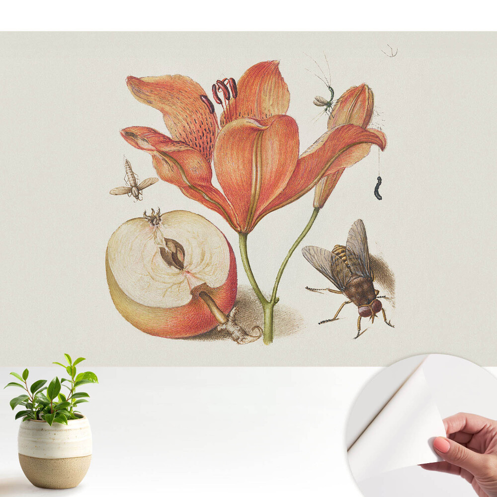 Tapeta Kvety, hmyz, ovocie, harmónia prírody