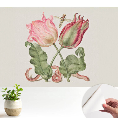 Tapety na stenu samolepiace Kvety a hmyz v nostalgickej kompozícii