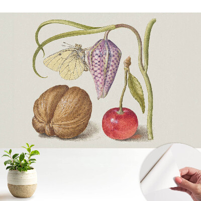 Tapeta do obývačky Motýľ na kvetnom liste a plode