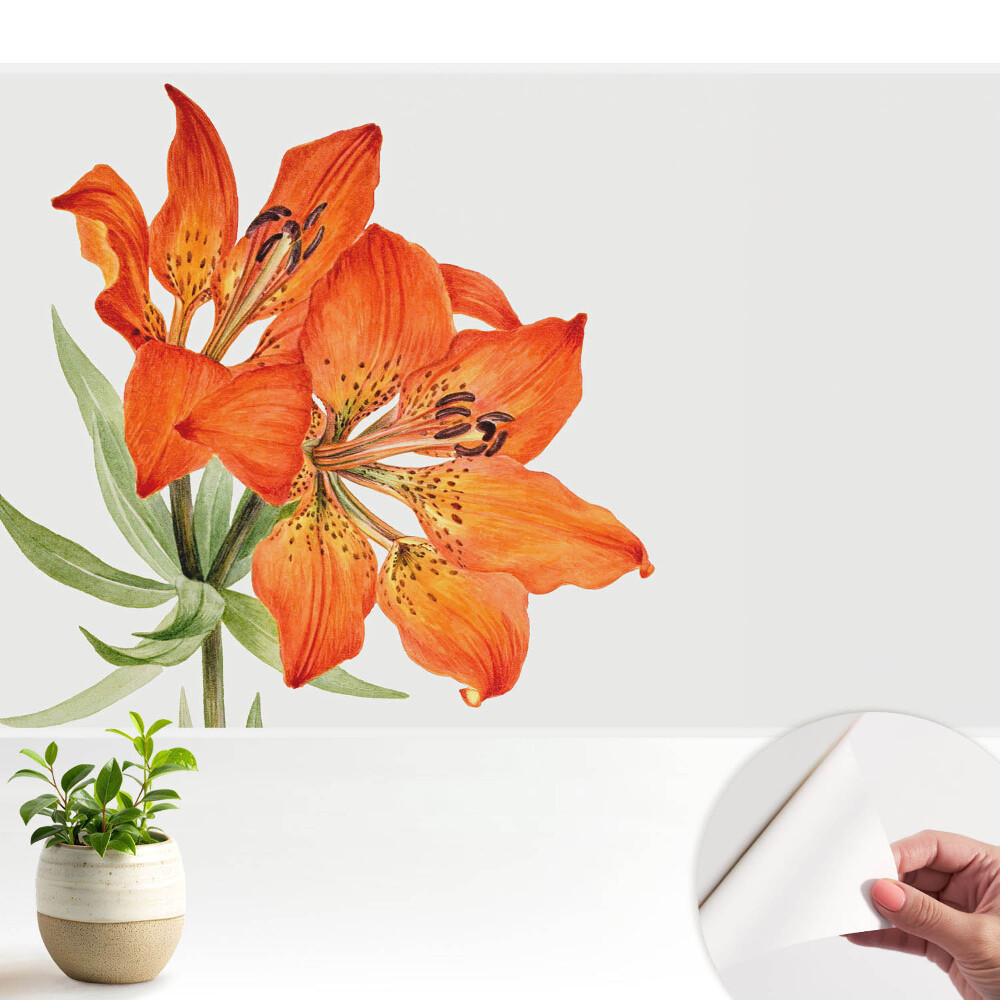 Tapety na stenu samolepiace Oranžová ľalia, jemne klasická