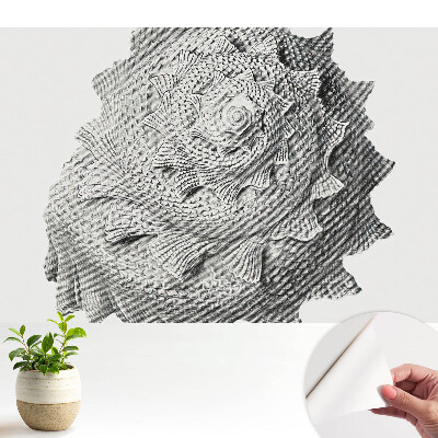 Tapeta na stenu samolepiaca s vizuálnym motívom harmónie špirálovej škrupiny