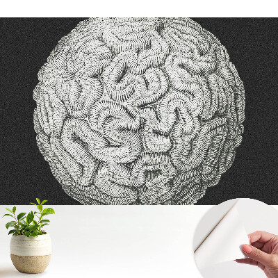 Tapeta Monochromatická sférická harmonická štruktúra