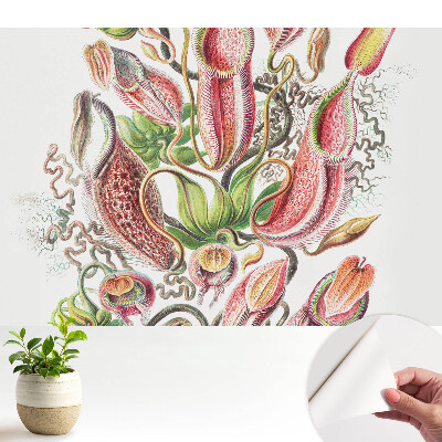 Luxusná tapeta Exotické hmyzožravé rastliny