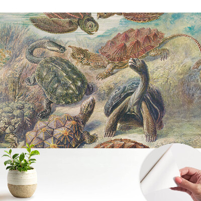 Luxusná tapeta s motívom rôznych korytnačiek vo vodnej scenérii