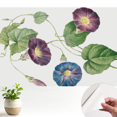 Tapety na stenu samolepiace Jemné kvetinové botanické motívy