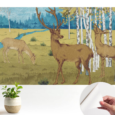 Tapeta na stenu samolepiaca s motívom jeleňa v brezovom lese