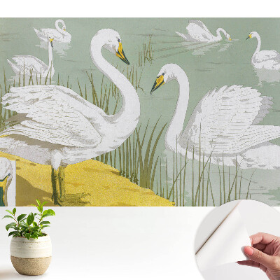 Tapeta do obývačky s motívom labutí na jazere v romantickom prevedení