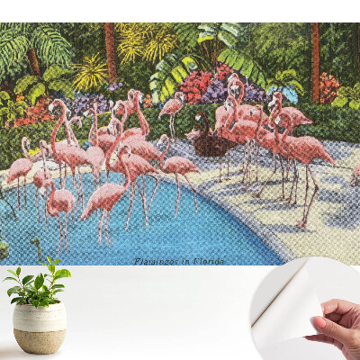 Tapeta Plameniaky pri bazéne