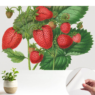 Tapeta do obývačky s motívom jahôd na zelenom pozadí