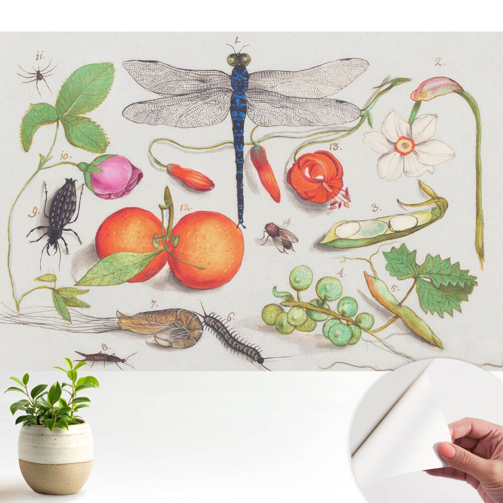 Tapeta do obývačky Botanická koláž s hmyzom