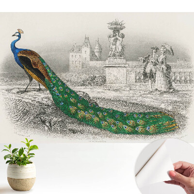 Tapeta s motívom páva v záhrade a barokovými postavami