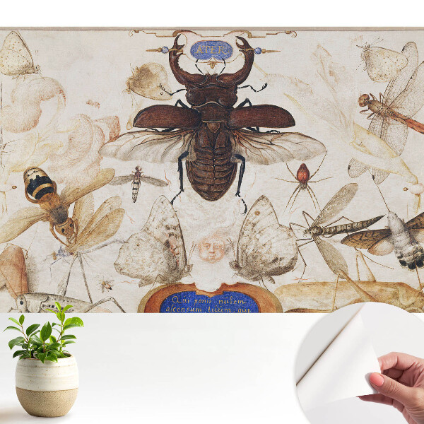 Luxusná tapeta Hmyz motýle pavúk klasická symetria