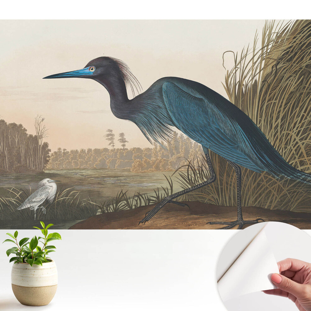 Tapety na stenu samolepiace Klasická vtáčia krajina