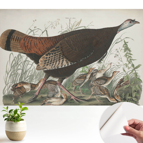 Tapeta do obývačky Prírodná ilustrácia divej morky