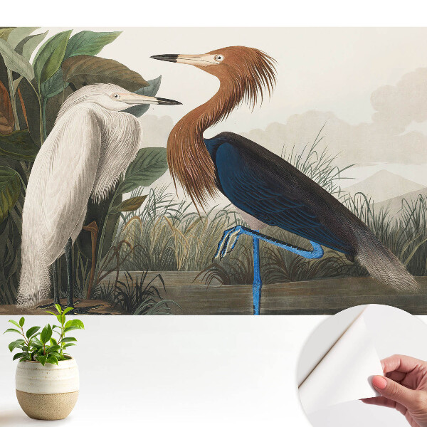 Tapeta Elegantné vtáky vo vegetácii