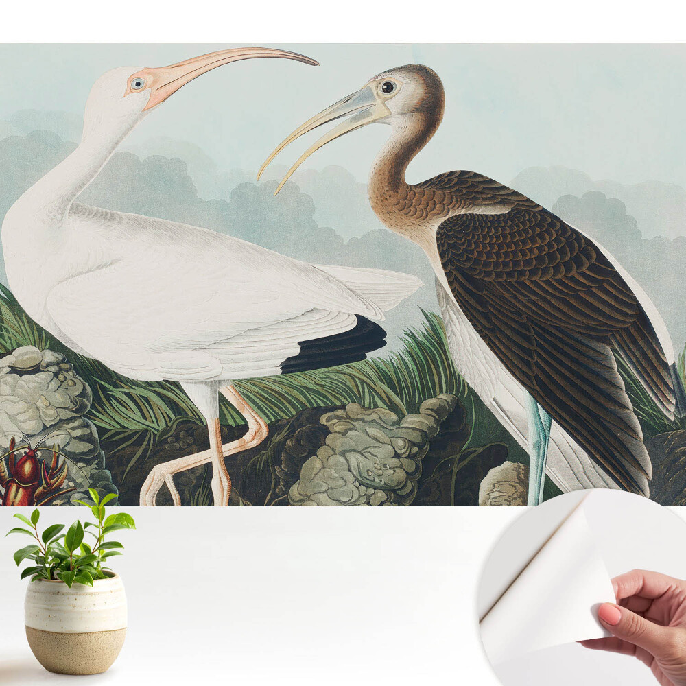 Luxusná tapeta Dva vtáky v ich prirodzenom prostredí