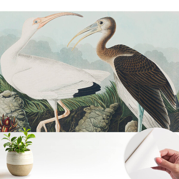 Luxusná tapeta Dva vtáky v ich prirodzenom prostredí