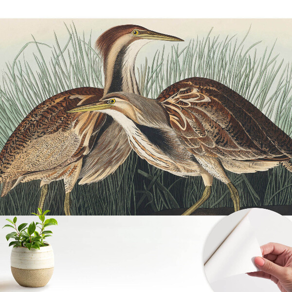 Tapeta do obývačky Vtáky v tráve Klasický realizmus Symetria