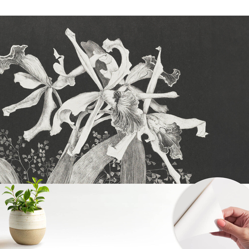 Tapeta do obývačky Elegantné kvety na tmavom pozadí