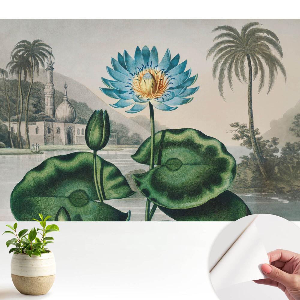 Tapeta Exotická ľalia v tropickom prostredí