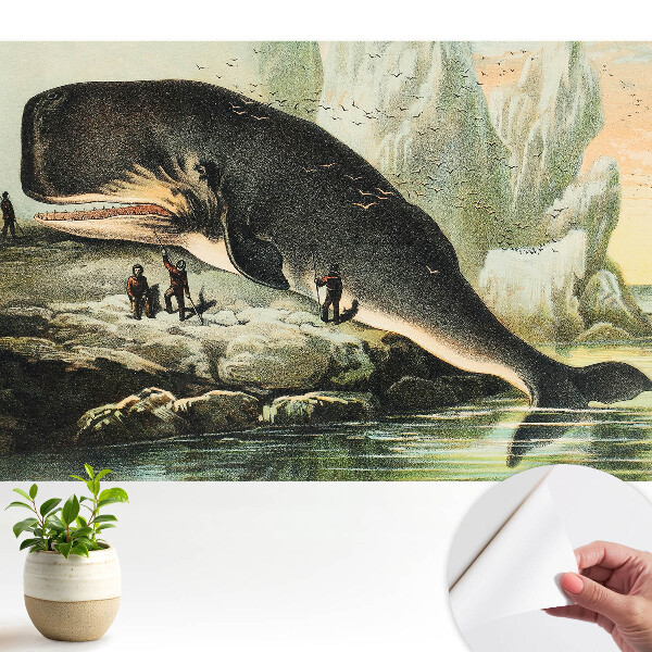 Luxusná tapeta Vorvaň na brehu v klasickom prostredí