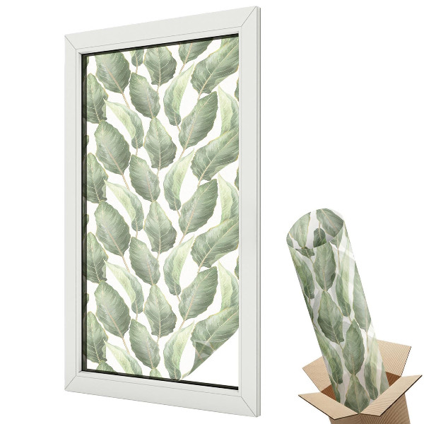 Matná fólia na sklo Zelené listy