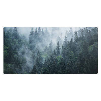Kancelárska podložka na stôl Hmlistý ihličnatý les