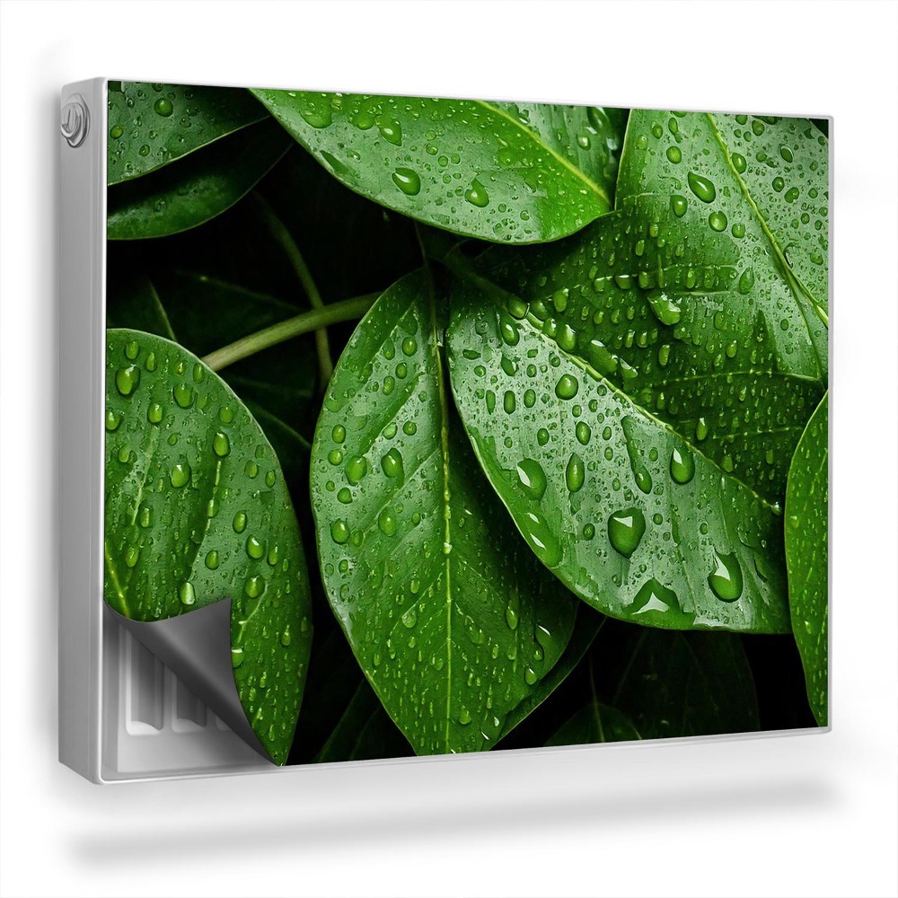 Dekoračný magnet na radiátor Detailný záber mnohých listov, kvapiek rosy, prírody