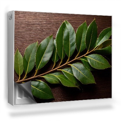 Magnetický kryt na radiátor Konár s tmavými listami na drevenom pozadí