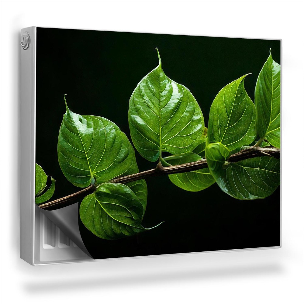 Dekoračný magnet na radiátor Konár s intenzívne zelenými listami