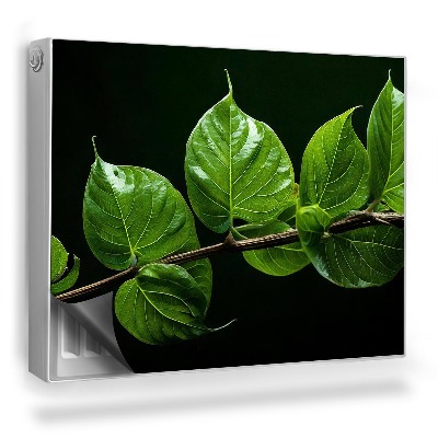 Dekoračný magnet na radiátor Konár s intenzívne zelenými listami