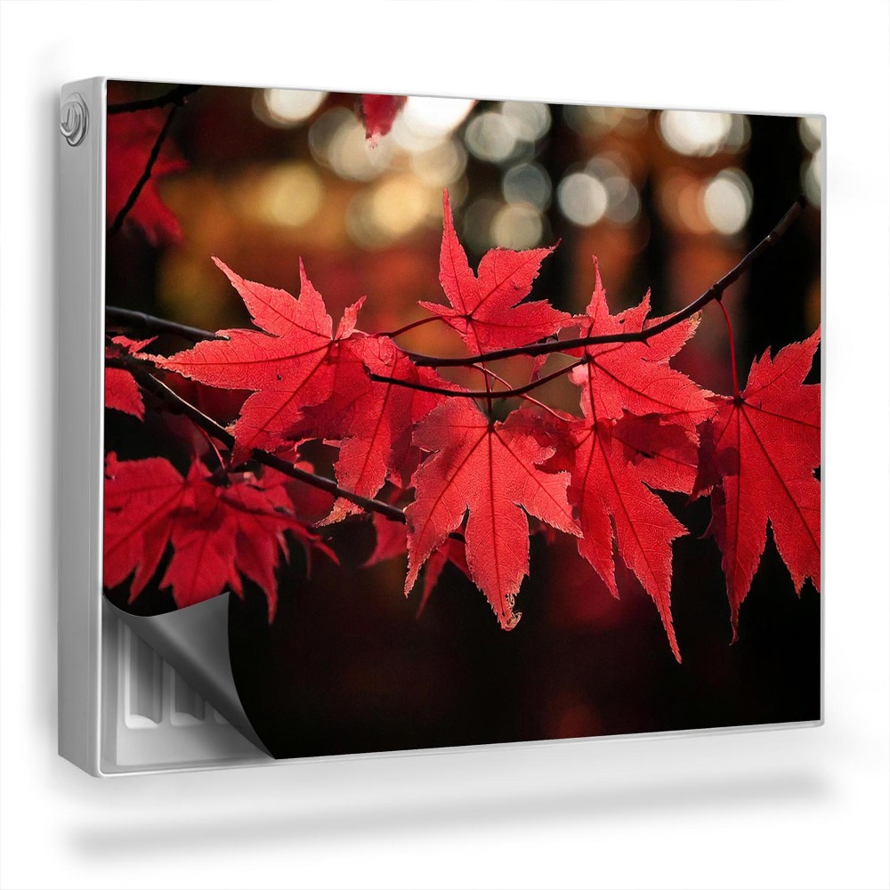 Dekoračný magnet na radiátor Príroda jesenné javorové listy na strome