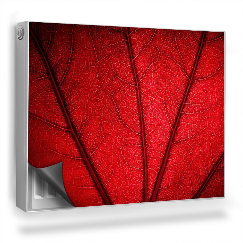 Dekoračný magnet na radiátor Listové žily, prírodná rastlinná textúra