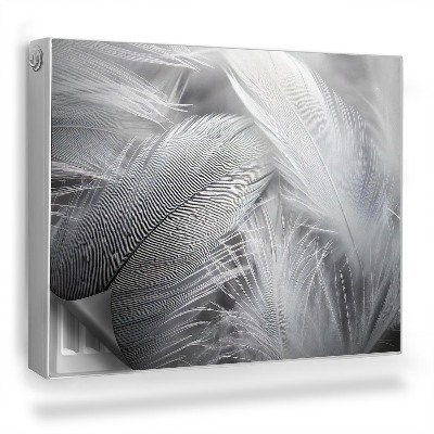 Magnetický kryt na radiátor Jemné čiernobiele vtáčie perie