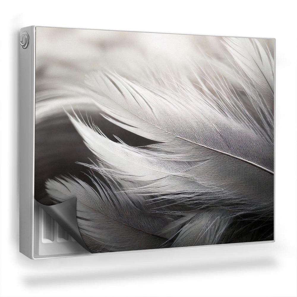 Dekoračný magnet na radiátor Čiernobiele jemné vtáčie perie