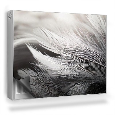 Dekoračný magnet na radiátor Čiernobiele jemné vtáčie perie