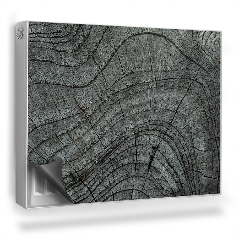 Magnetický kryt na radiátor Detailný záber prierezu starého stromu