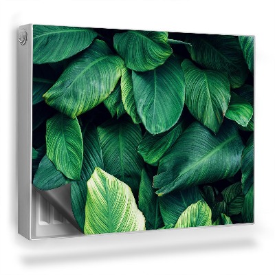 Dekoračný magnet na radiátor Prekrývajúce sa listy džungle