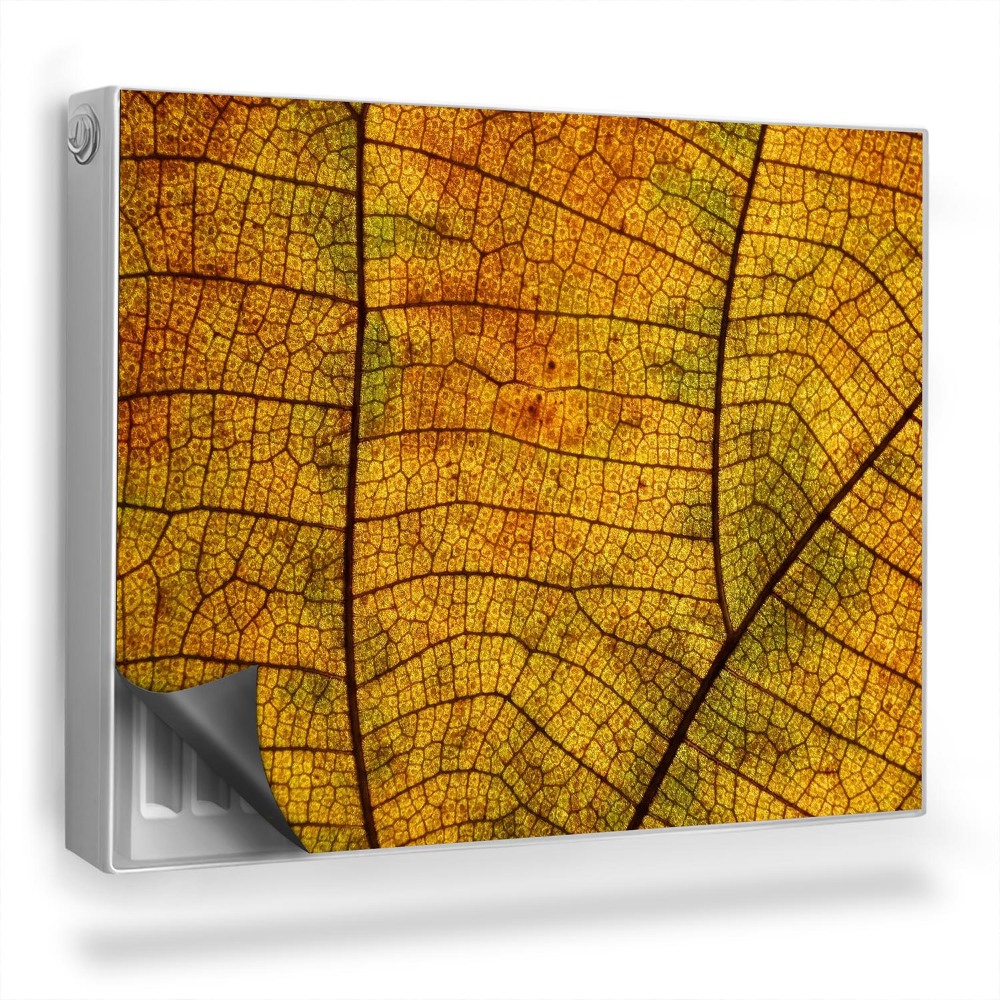Dekoračný magnetický kryt na radiátor Textúra jemných žíl jesenného lístia